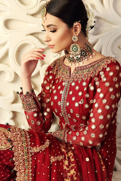Chiffon shirt chiffon slives Net duppata &Net embroidered Plazo/Gharara/Sharara & plain silk  trouser