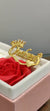 Name Necklace with Crown and heartline– Namely